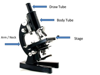 Draw Tube
Stage
Body Tube
Arm / Neck
 