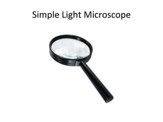 Simple Light Microscope
 