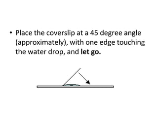 • Place the coverslip at a 45 degree angle
(approximately), with one edge touching
the water drop, and let go.
 