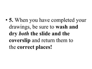 • 5. When you have completed your
drawings, be sure to wash and
dry both the slide and the
coverslip and return them to
the correct places!
 