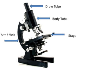 Draw Tube
Stage
Body Tube
Arm / Neck
 