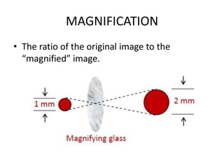 MAGNIFICATION
• The ratio of the original image to the
“magnified” image.
 