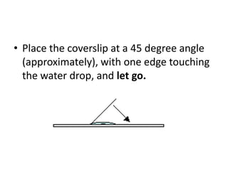 • Place the coverslip at a 45 degree angle
(approximately), with one edge touching
the water drop, and let go.
 