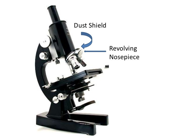 Parts and functions of a compound microscope