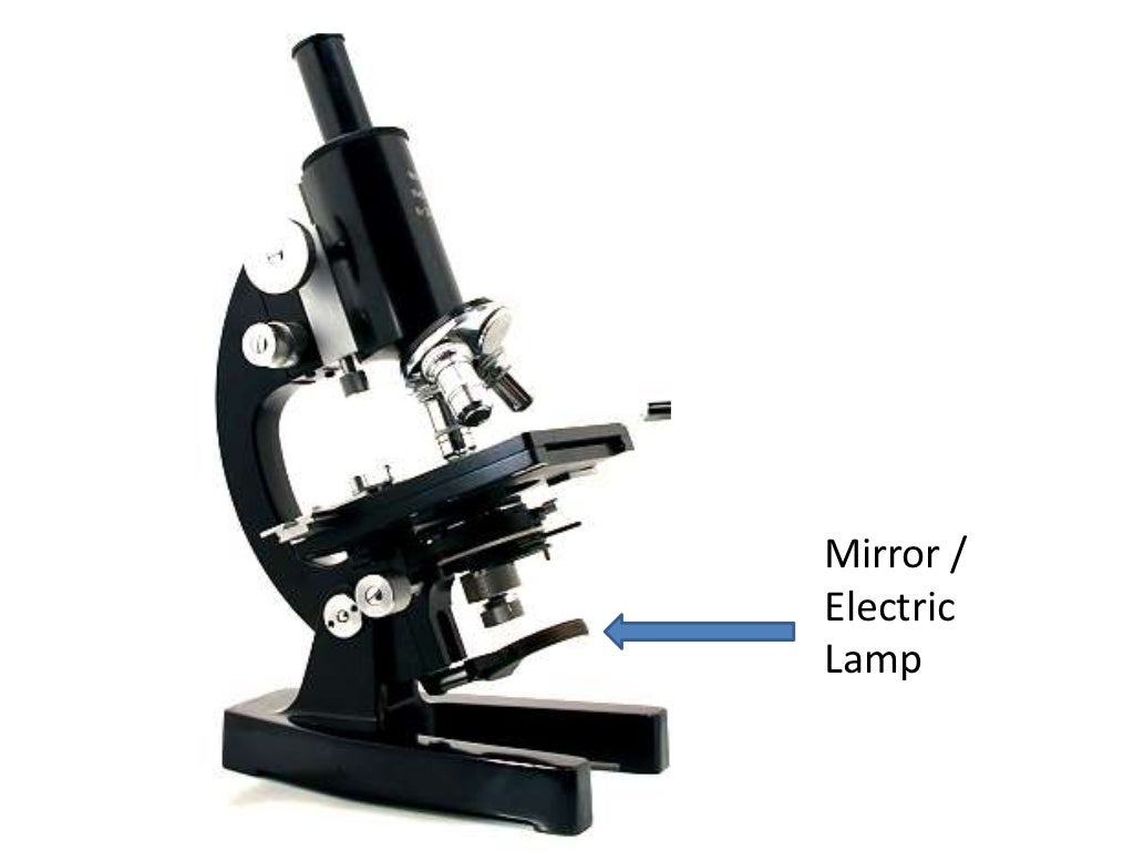 Parts and functions of a compound microscope