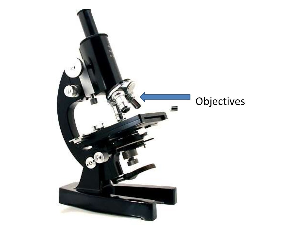 Parts and functions of a compound microscope