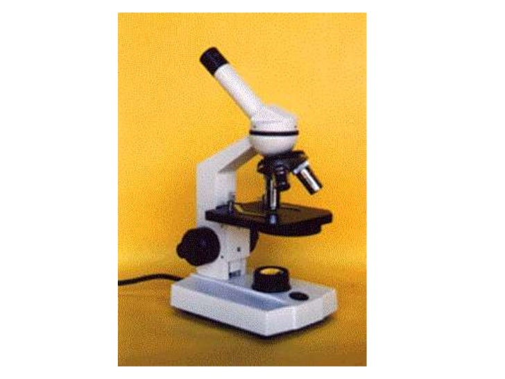 Parts and functions of a compound microscope Parts and functions of a compound microscope