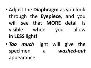 • Adjust the Diaphragm as you look
through the Eyepiece, and you
will see
visible
that
when
MORE detail is
you allow
in LESS light!
• Too much
specimen
appearance.
light will give the
a washed-out
 