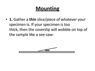 Mounting
• 1. Gather a thin slice/piece of whatever your
specimen is. If your specimen is too
thick, then the coverslip will wobble on top of
the sample like a see-saw:
 