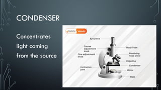 Parts and Functions of a Compound Microscope.pptx