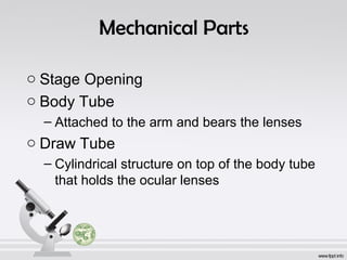 Mechanical Parts 
o Stage Opening 
o Body Tube 
– Attached to the arm and bears the lenses 
o Draw Tube 
– Cylindrical structure on top of the body tube 
that holds the ocular lenses 
 