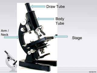 Draw Tube 
Stage 
Body 
Tube 
Arm / 
Neck 
 