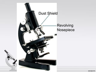 Dust Shield 
Revolving 
Nosepiece 
 