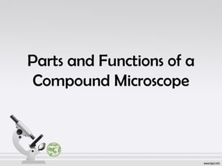 Parts and Functions of a 
Compound Microscope 
 