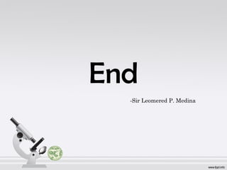 End 
-Sir Leomered P. Medina 
