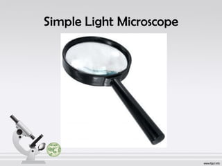 Simple Light Microscope 
 