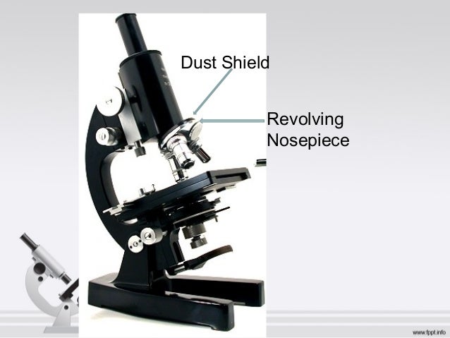 Parts And Functions Of A Microscope Parts And Functions Of A Microscope