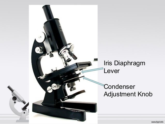 Parts and functions of a microscope