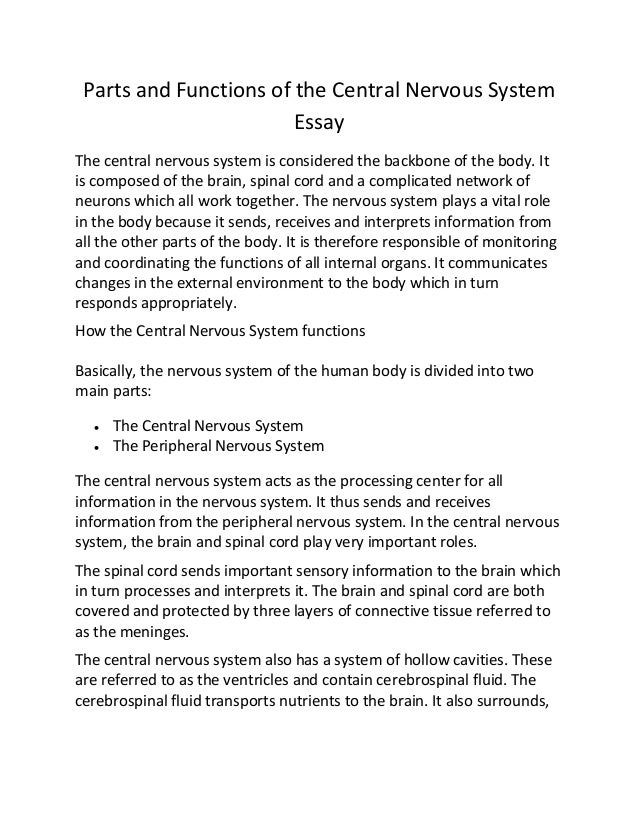 Short essay on The Endocrine System