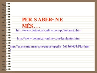 PER SABER-NE MÉS... http://www.botanical-online.com/polinitzacio.htm http://www.botanical-online.com/lesplantes.htm http://es.encarta.msn.com/encyclopedia_761564653/Flor.html 