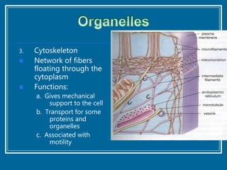 Parts of a Cell | PPTX