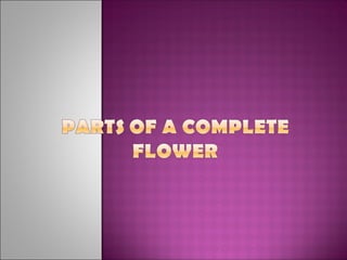 Parts of a complete flower