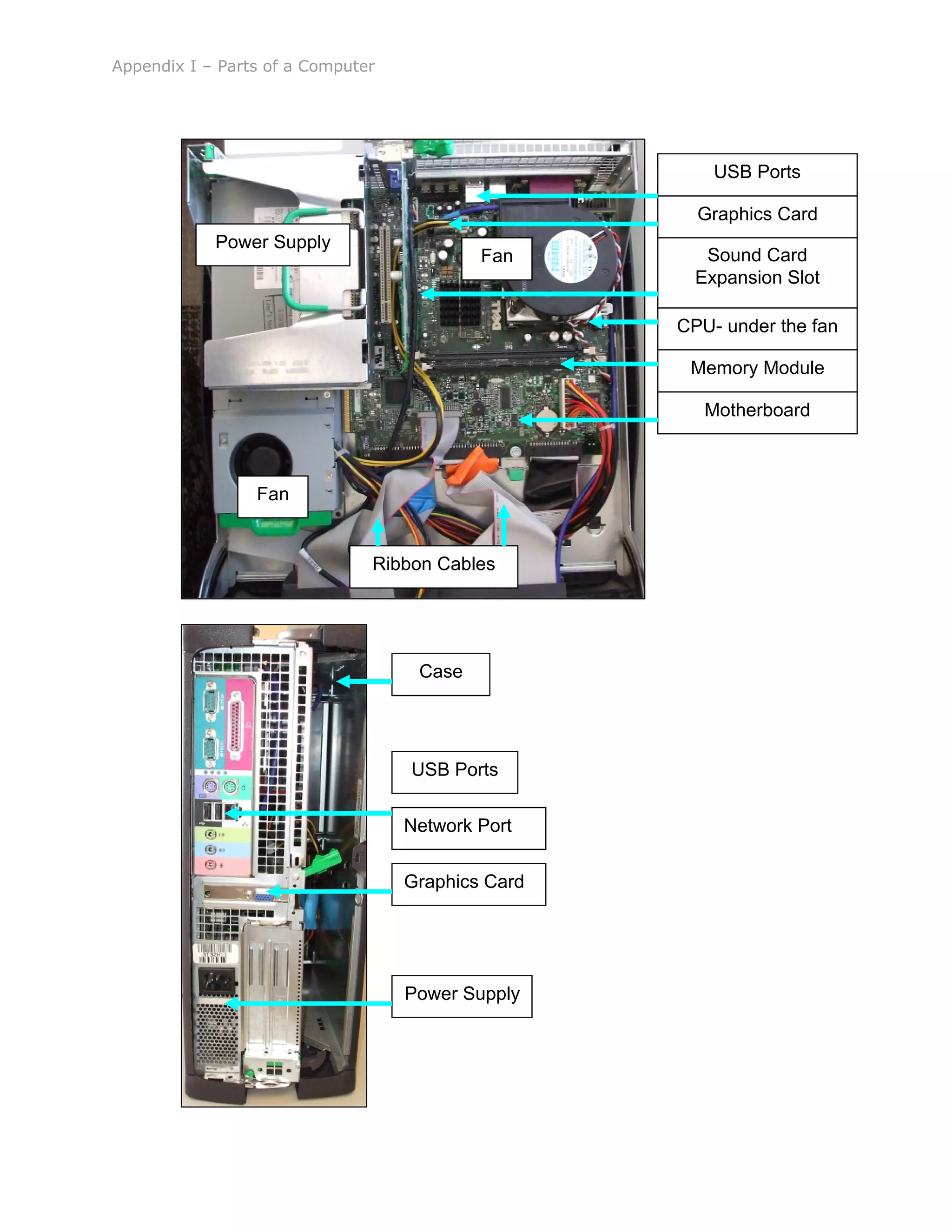 Appendix I – Parts of a Computer
USB Ports
Network Port
Graphics Card
Power Supply
Case
Power Supply
Fan
Memory Module
CPU- under the fan
Graphics Card
USB Ports
Motherboard
Sound Card
Expansion Slot
Ribbon Cables
Fan
 