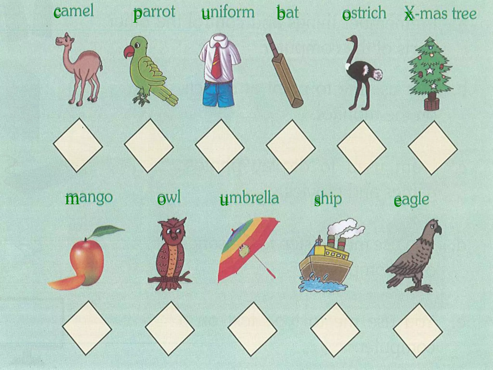 c p u b o x
m o u s e
 