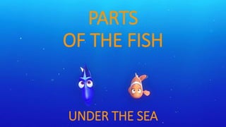 PARTS
OF THE FISH
UNDER THE SEA
 