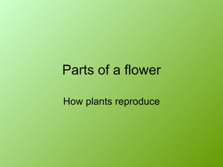 Parts of a flower How plants reproduce 