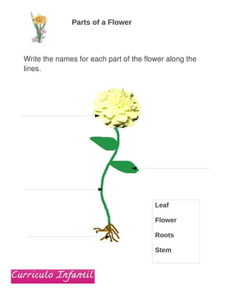 Parts of a Flower



Write the names for each part of the flower along the
lines.




                                        Leaf

                                        Flower

                                        Roots

                                        Stem
 