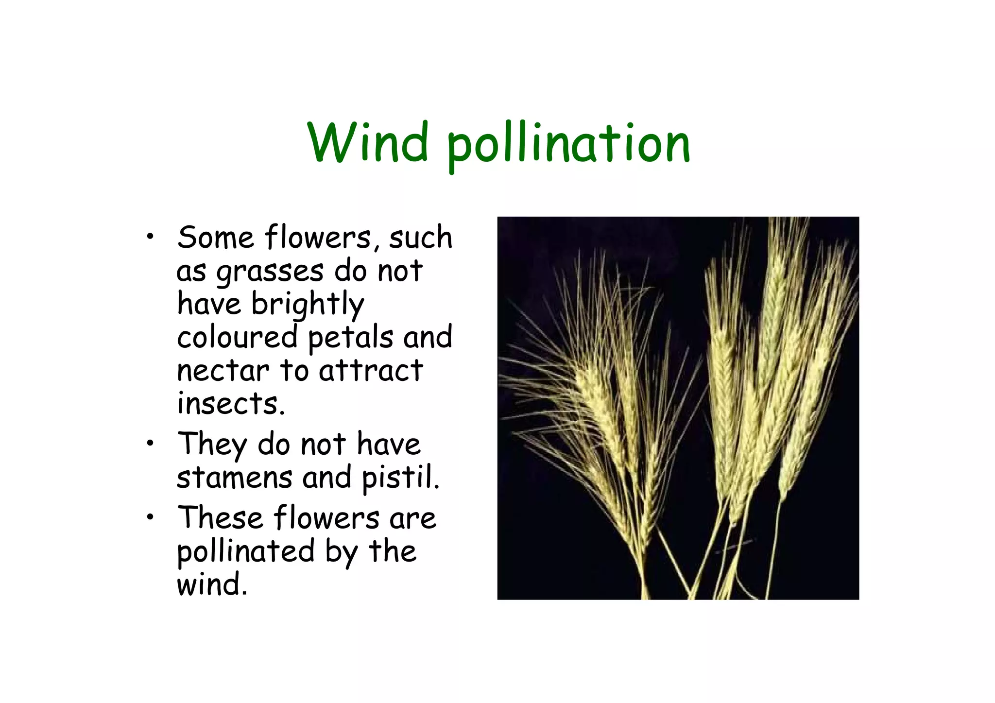 Flower Parts Insect Parts of a flower | PDF