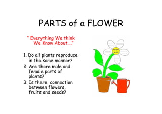 PARTS of a FLOWER
“ Everything We think
We Know About….”
1. Do all plants reproduce
in the same manner?
2. Are there male and
female parts of
plants?
3. Is there connection
between flowers,
fruits and seeds?
 