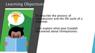  To describe the process of
reproduction and the life cycle of a
mammal.
 I can explain what Jane Goodall
discovered about chimpanzees.
 