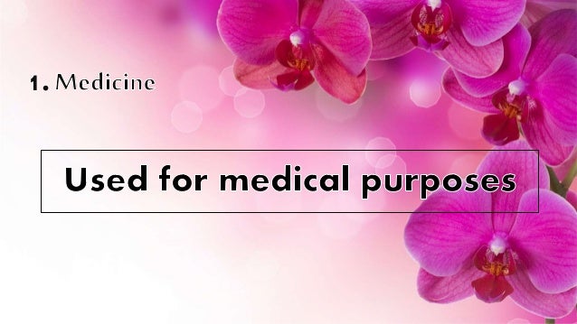 Why are flowers so important? Why are flowers so important?