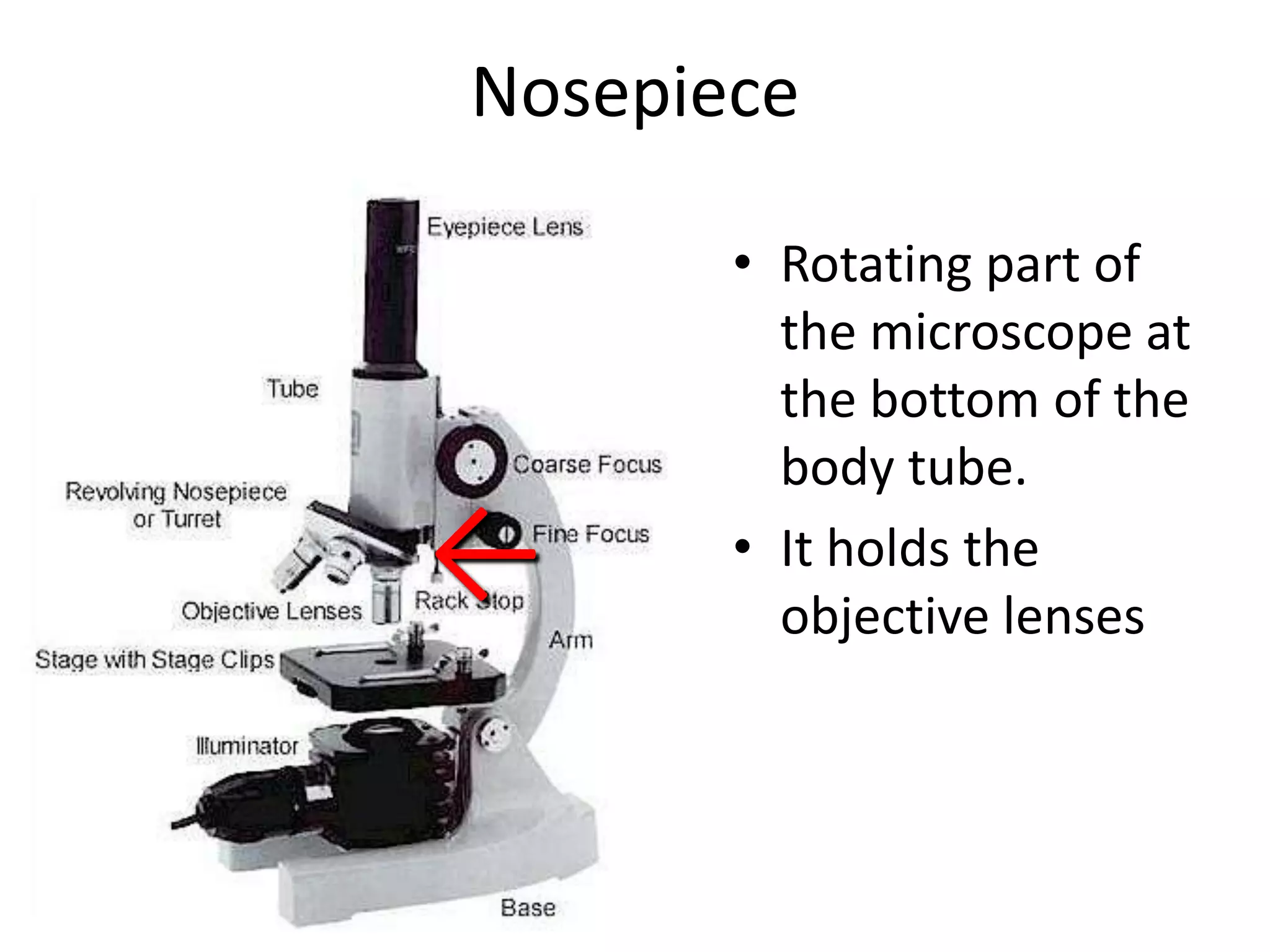 Nosepiece

       • Rotating part of
         the microscope at
         the bottom of the
         body tube.
←      • It holds the
         objective lenses
 
