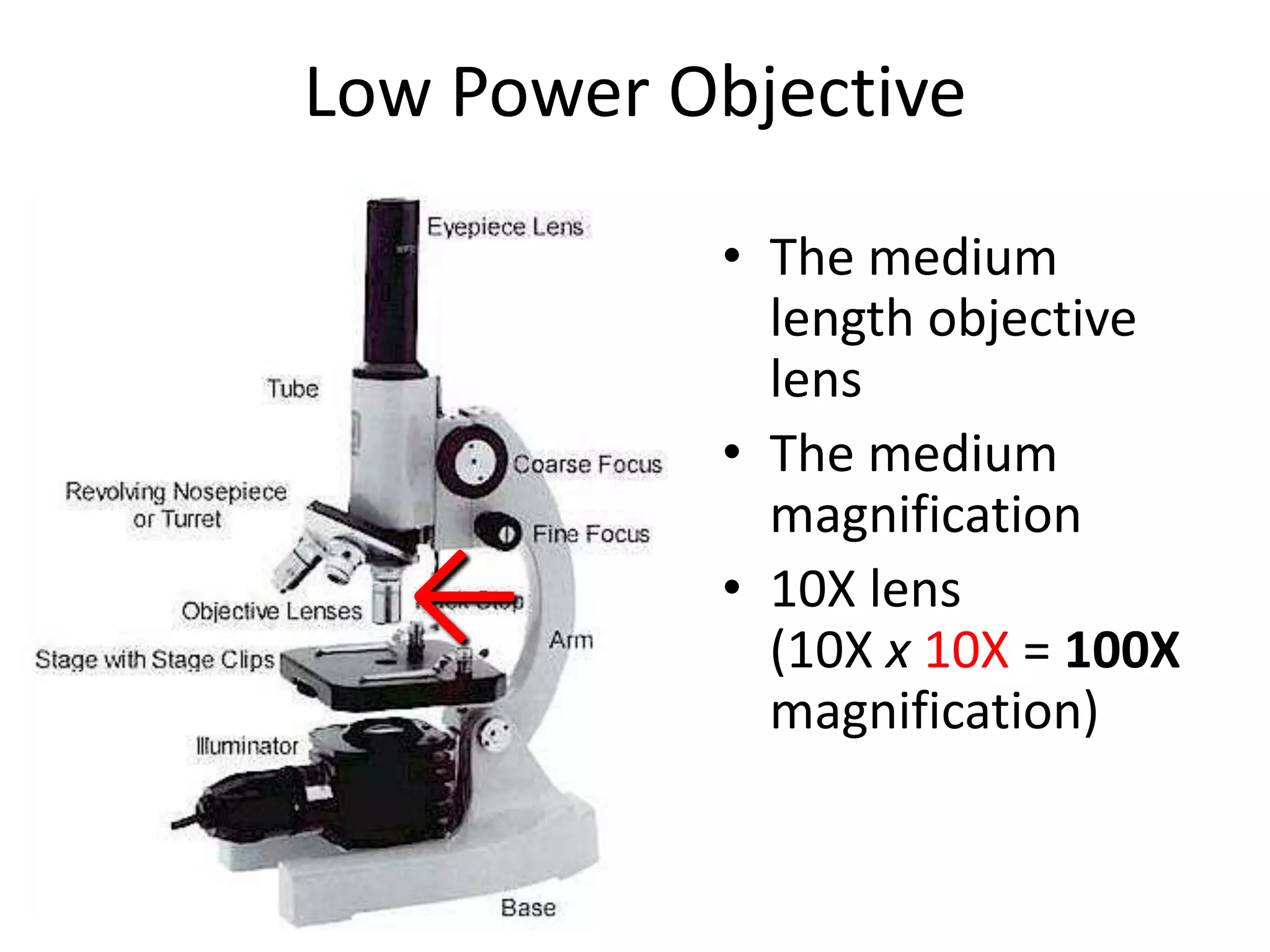Low Power Objective

           • The medium
             length objective
             lens
           • The medium
             magnification
  ←        • 10X lens
             (10X x 10X = 100X
             magnification)
 