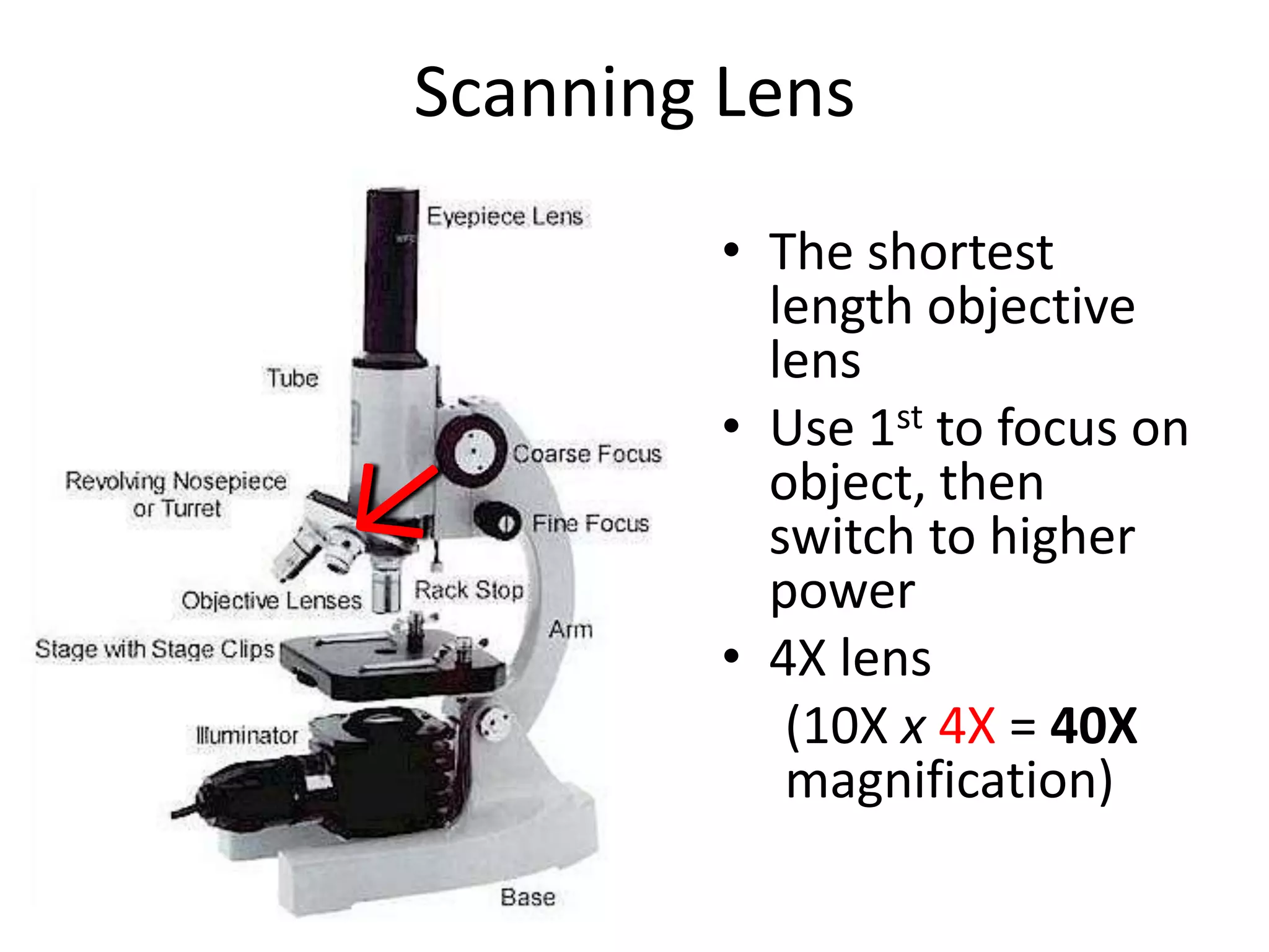 Scanning Lens
         • The shortest
           length objective
           lens
         • Use 1st to focus on
           object, then
           switch to higher
           power
         • 4X lens
            (10X x 4X = 40X
            magnification)
 