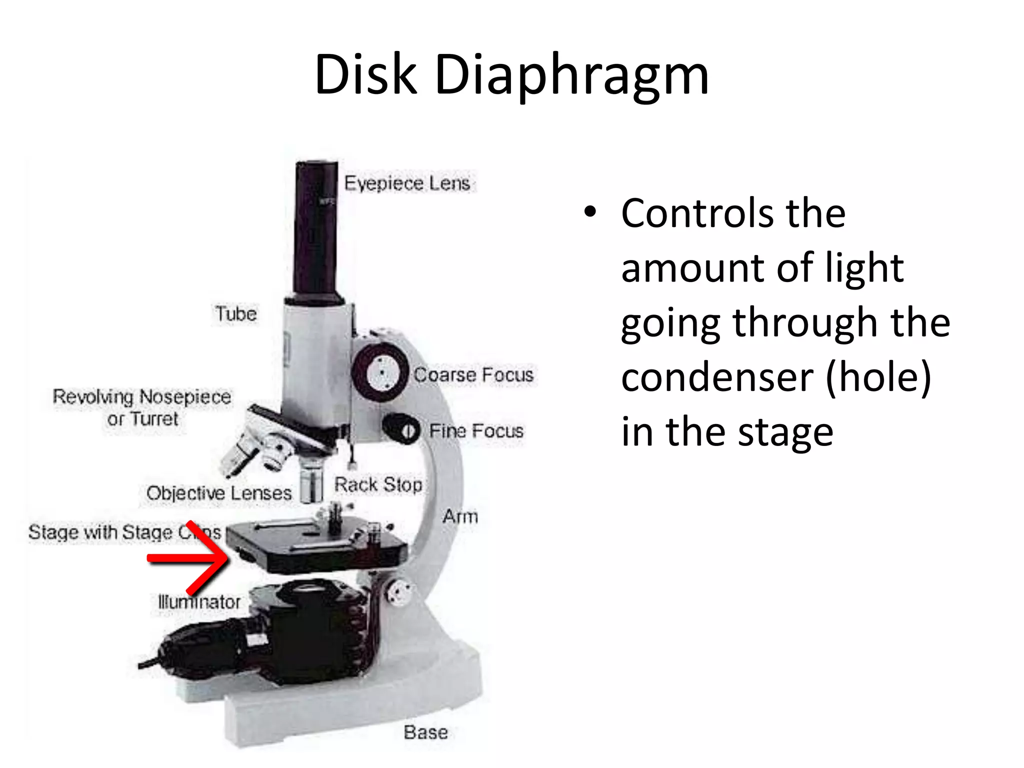 Disk Diaphragm

             • Controls the
               amount of light
               going through the
               condenser (hole)
               in the stage


→
 