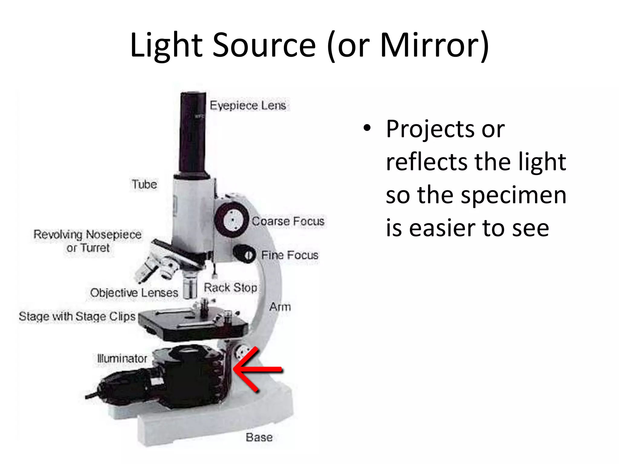 Light Source (or Mirror)

               • Projects or
                 reflects the light
                 so the specimen
                 is easier to see




      ←
 