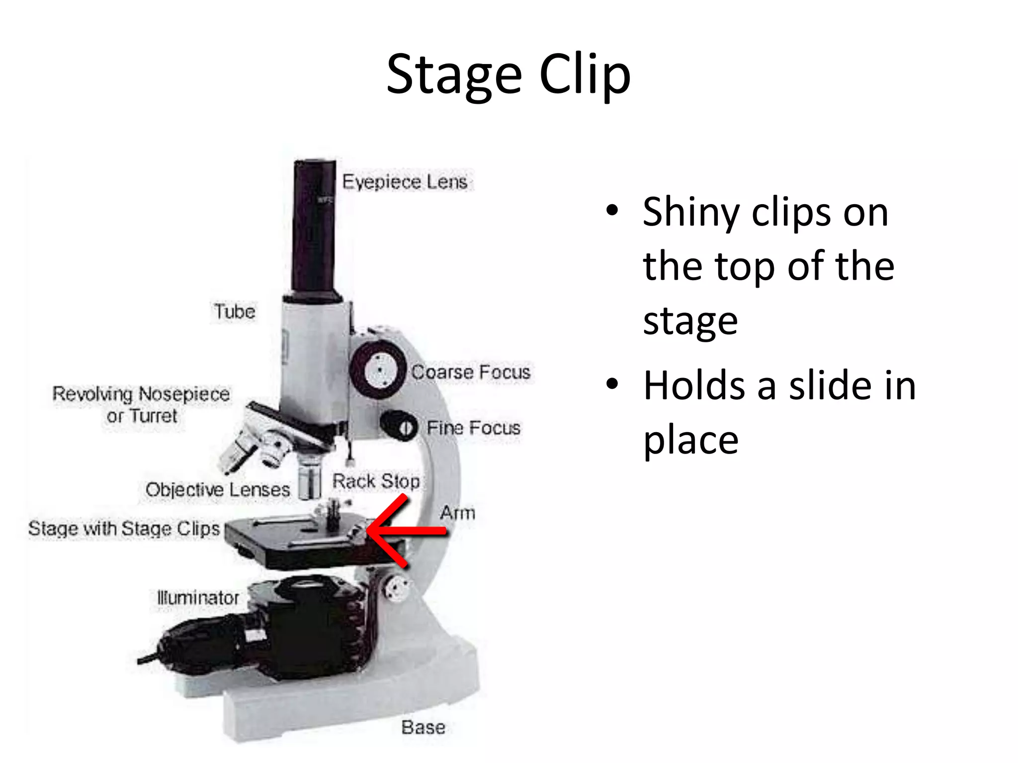 Stage Clip

        • Shiny clips on
          the top of the
          stage
        • Holds a slide in
          place

←
 