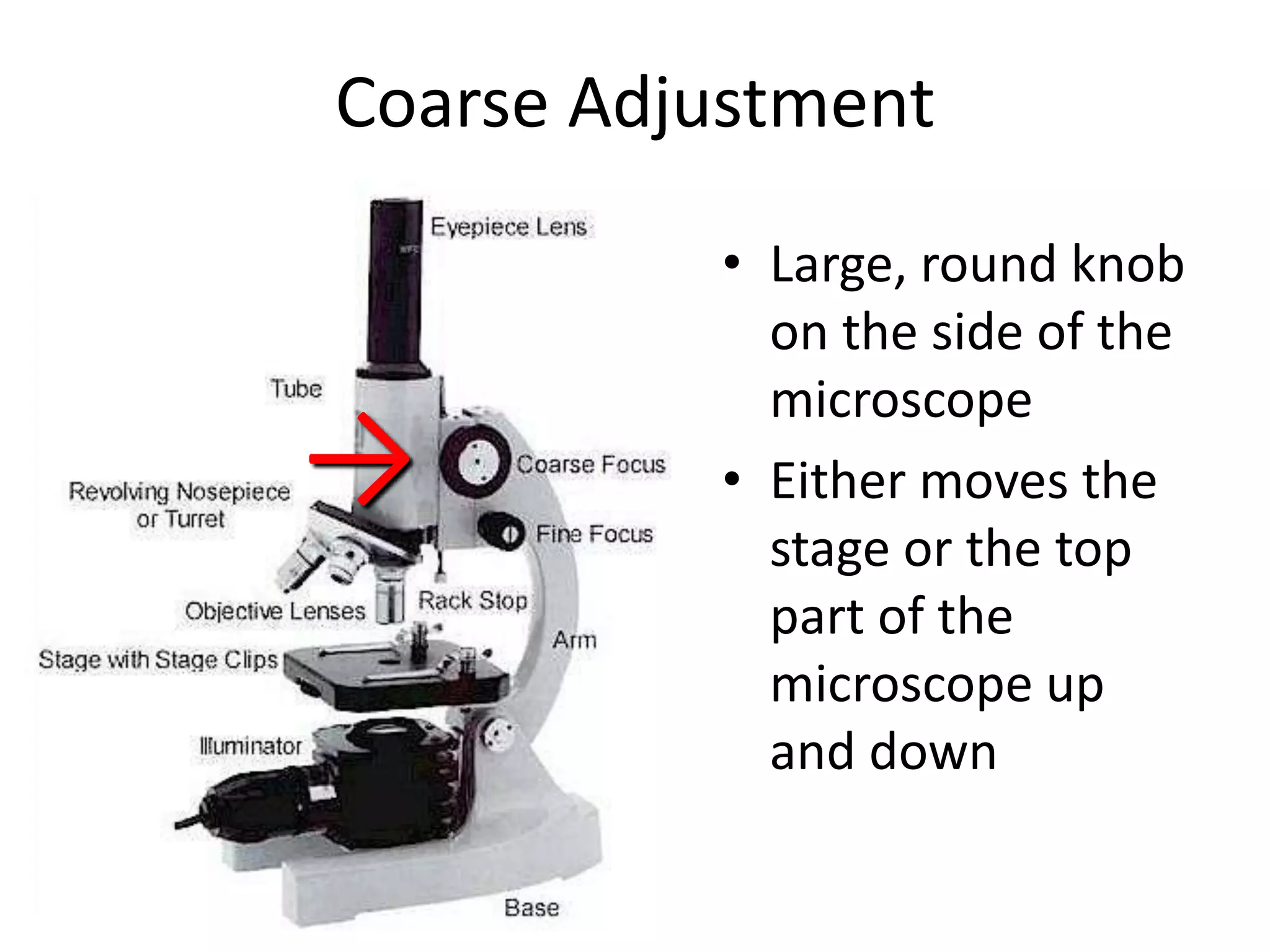 Coarse Adjustment
          • Large, round knob
            on the side of the
            microscope
→         • Either moves the
            stage or the top
            part of the
            microscope up
            and down
 
