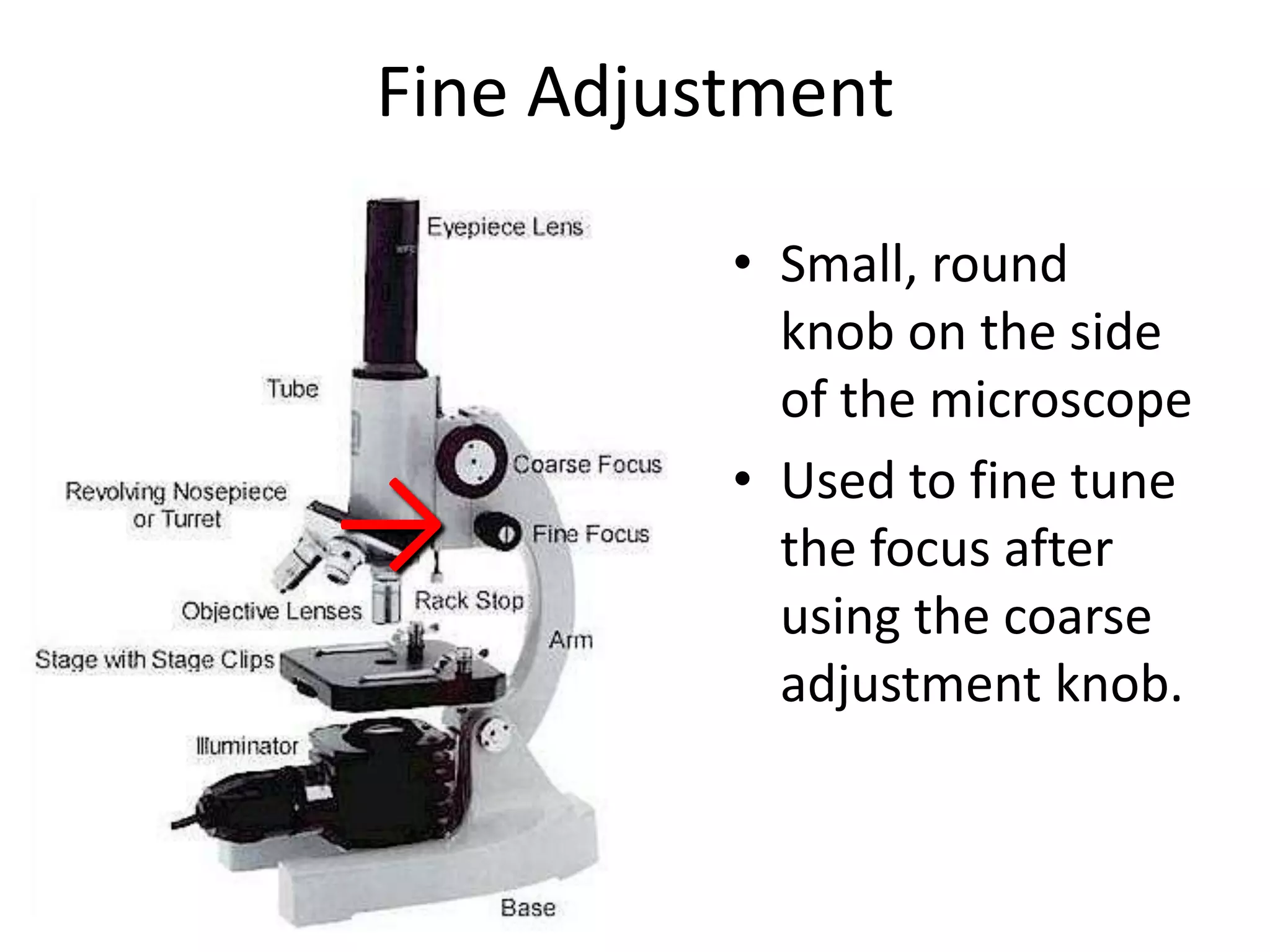 Fine Adjustment

          • Small, round
            knob on the side
            of the microscope
          • Used to fine tune
→           the focus after
            using the coarse
            adjustment knob.
 