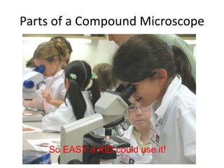 Parts of a Compound Microscope




    So EASY a KID could use it!
 