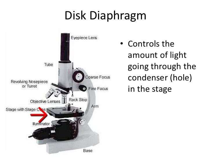 Parts of a microscope