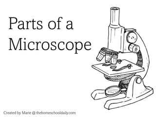 Parts of a
Microscope
Created by Marie @ thehomeschooldaily.com
 