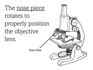The nose piece
rotates to
properly position
the objective
lens.
Nose Piece
 