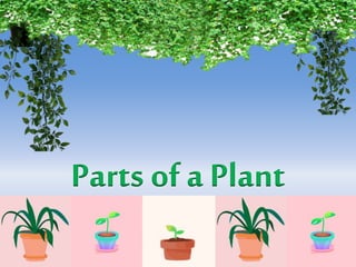 Parts of a Plant
 