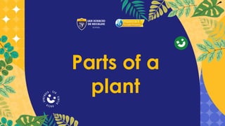 Parts of a
plant
 