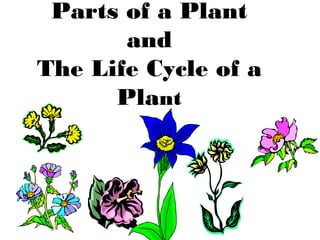 Parts of a Plant
       and
The Life Cycle of a
      Plant
 
